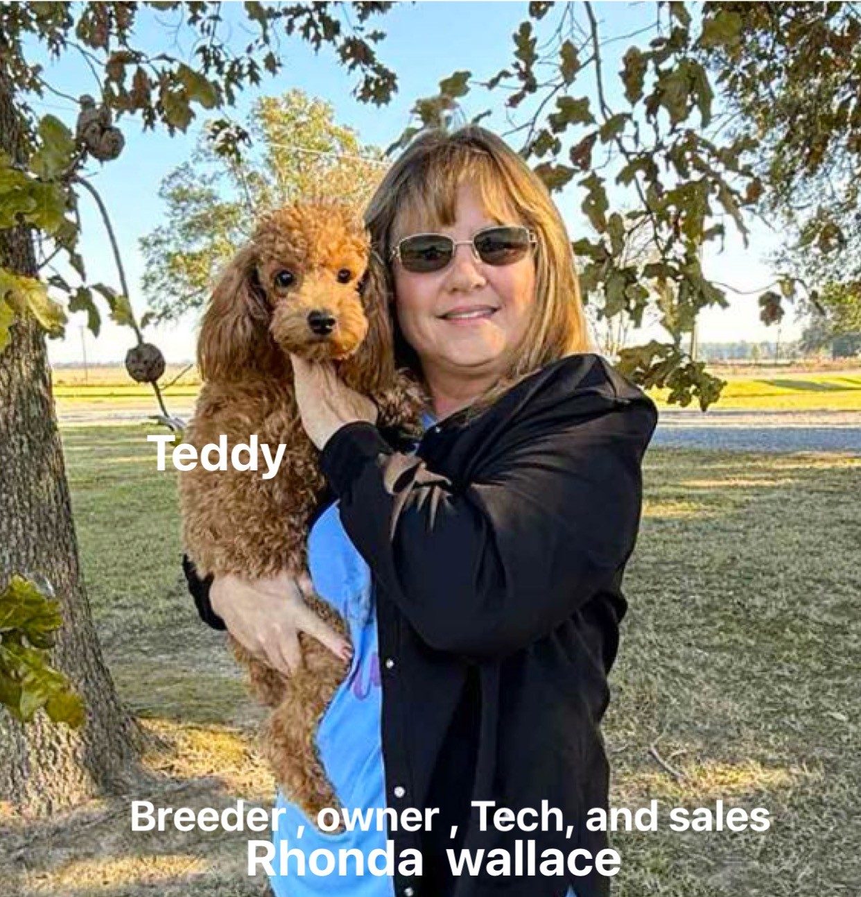Nana and Teddy, members of the Little Paws family