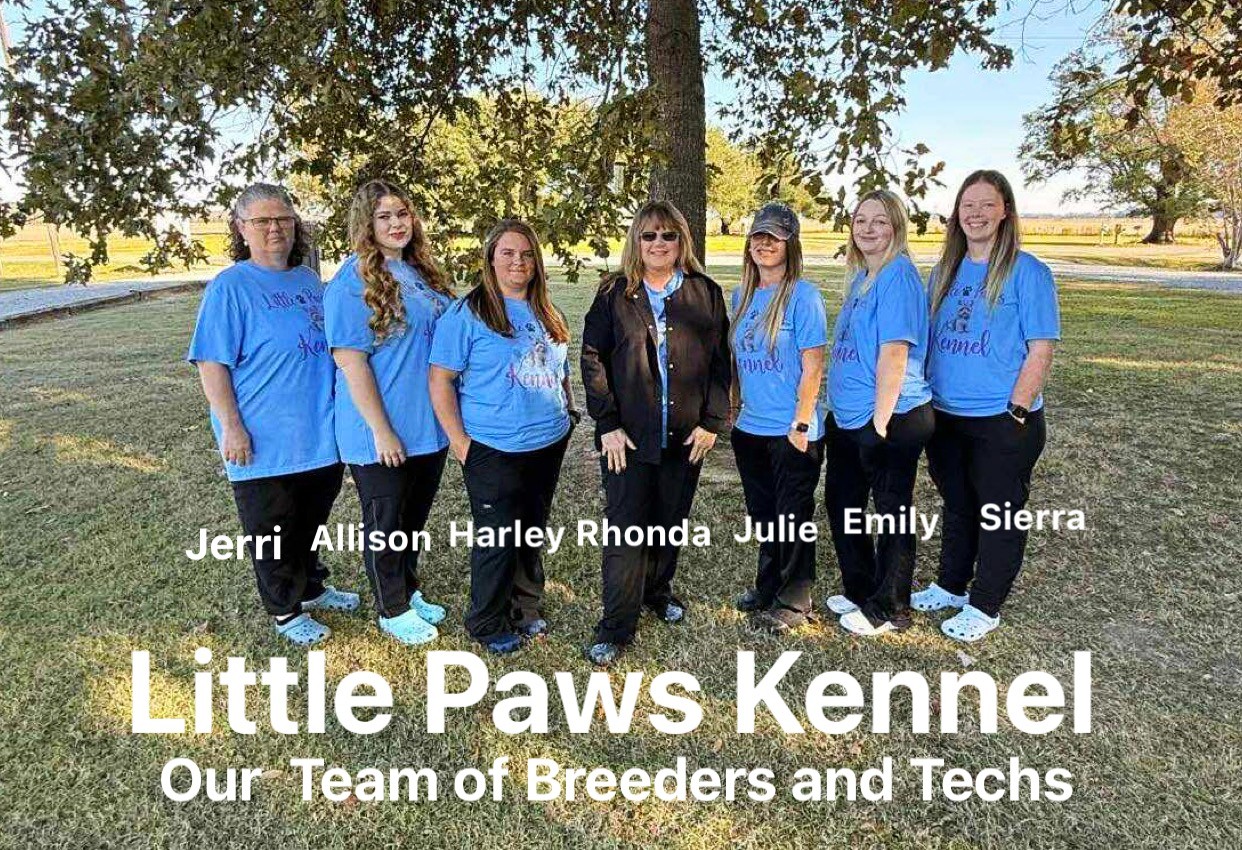 Rhonda Wallace with a group of Little Paws dogs