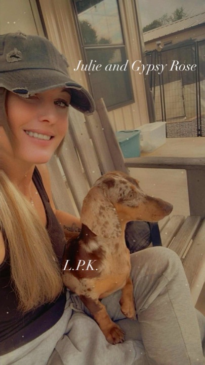 Julie & Gypsy, a Little Paws Dachshunds parent dog