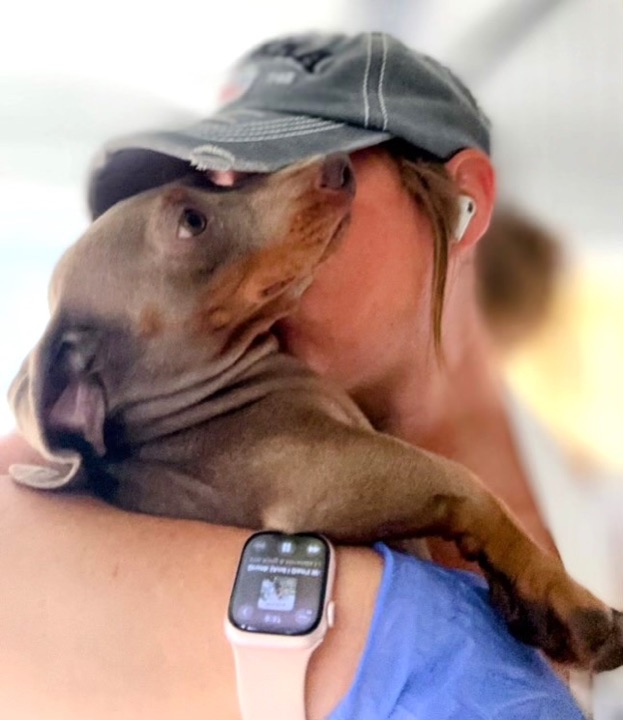 Julie & River, a Little Paws Dachshunds parent dog